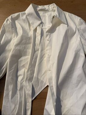ALC cross cross back  white button down crop